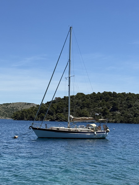 boat-image